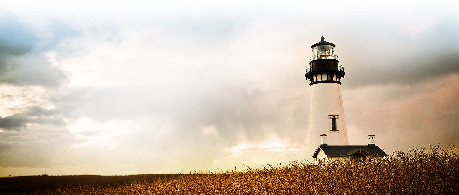 Guiding Leaders, Organizations & Communities